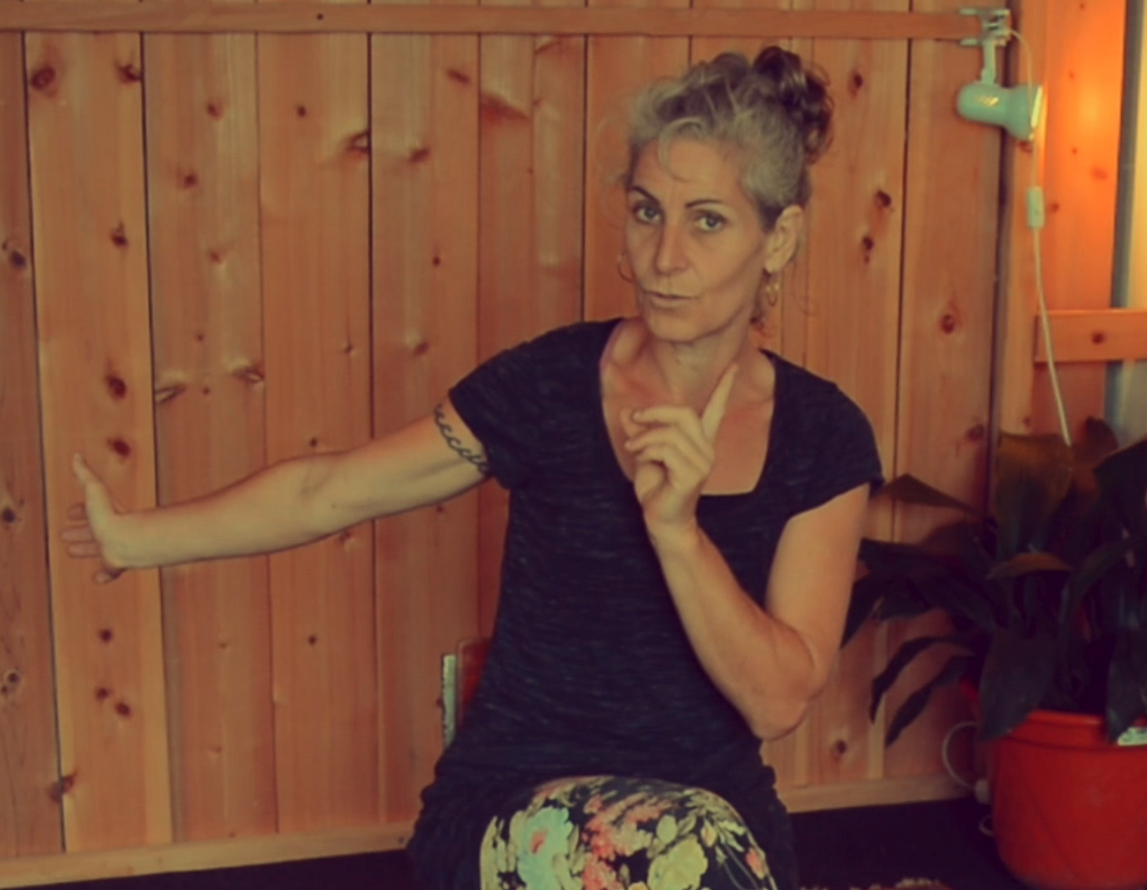 Programas Camille Farge